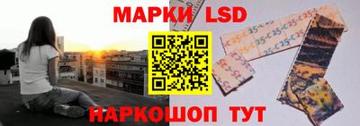 стафф Краснознаменск
