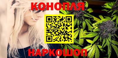 стафф Краснознаменск