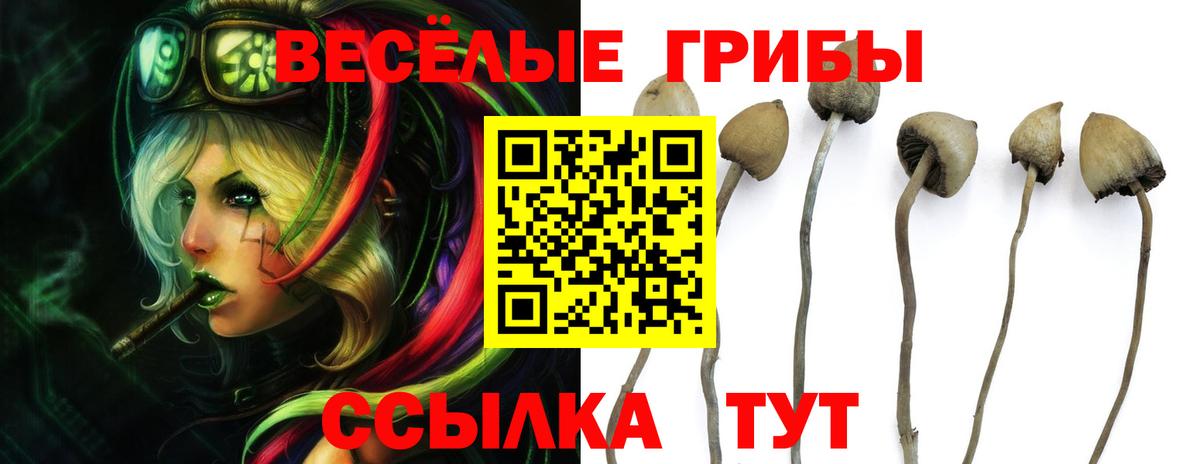 Псилоцибиновые грибы Psilocybe Фролово